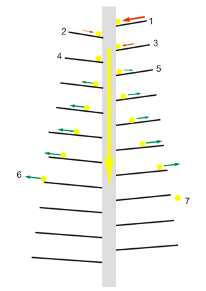 10.jpg 10.jpg